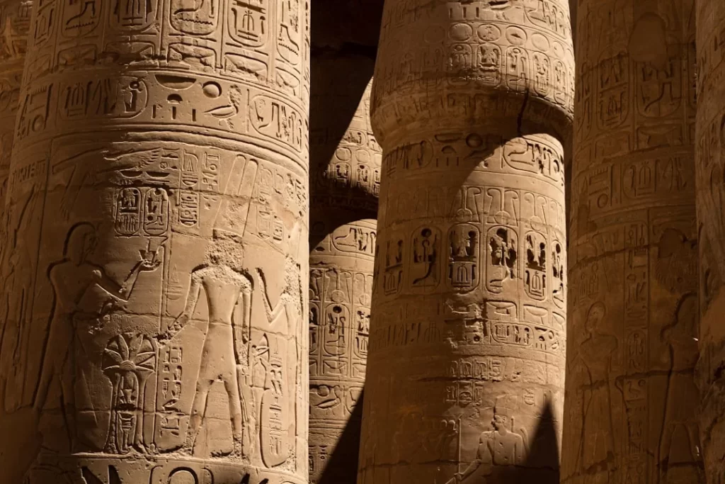 extra3_optimized-1-1024x683 Papiro: A Planta Misteriosa Que Deu Voz aos Deuses e Faraós